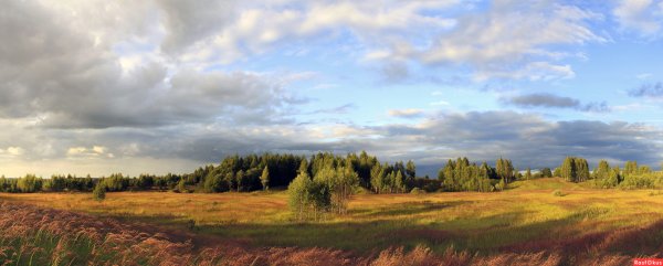 Берег реки панорама