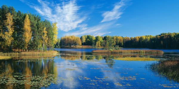 Поля Архангельской области