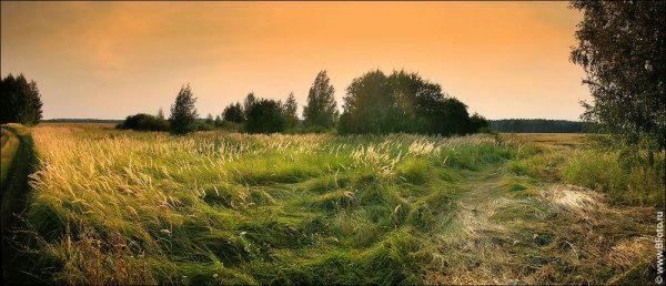Пейзаж панорама