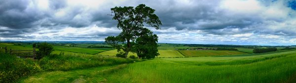 Пейзаж панорама