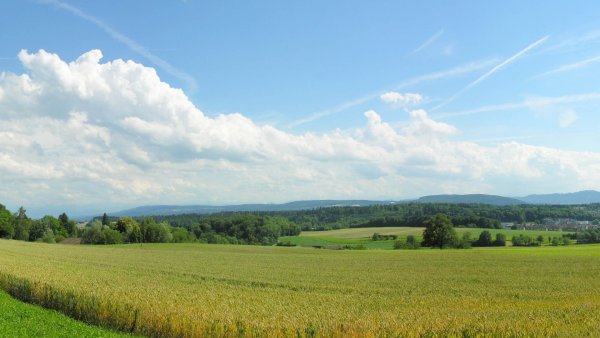 Поля Ставропольского края
