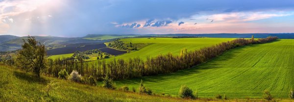 Лес Горизонт Удмуртия