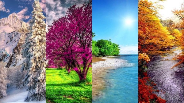 Пейзаж времена года