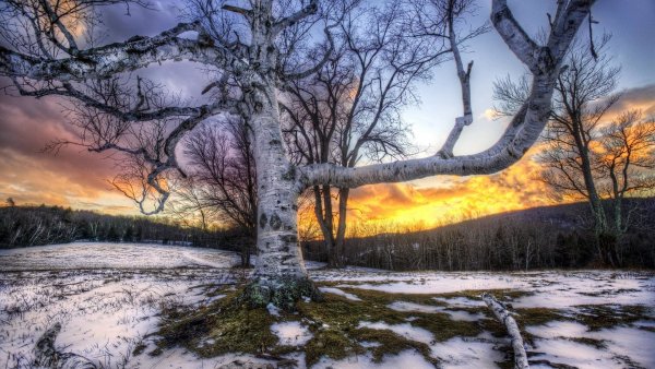 Пейзаж времена года