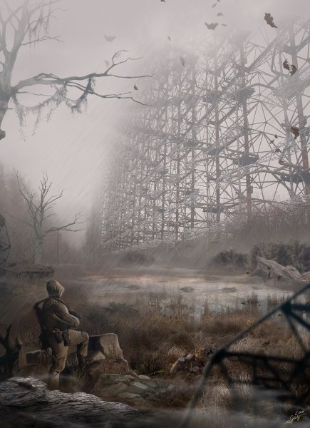 Сталкер 2 поле