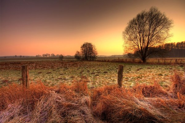 Поле осенью