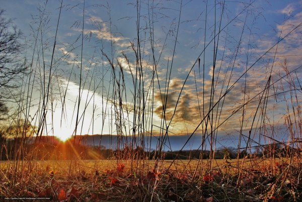 Ноябрь поле