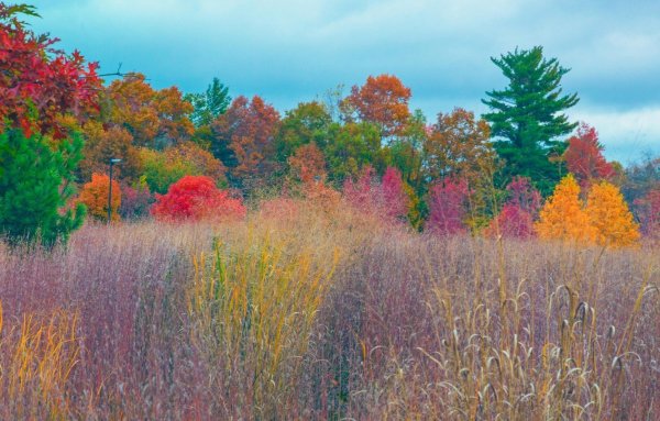 Осенние Луга