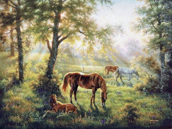 Джуди Гибсон (Judy Gibson)