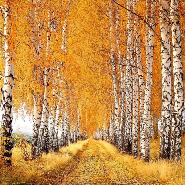 Отговорила роща Золотая