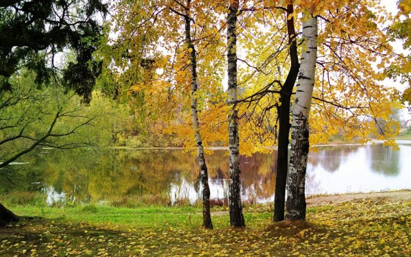 Ранняя осень