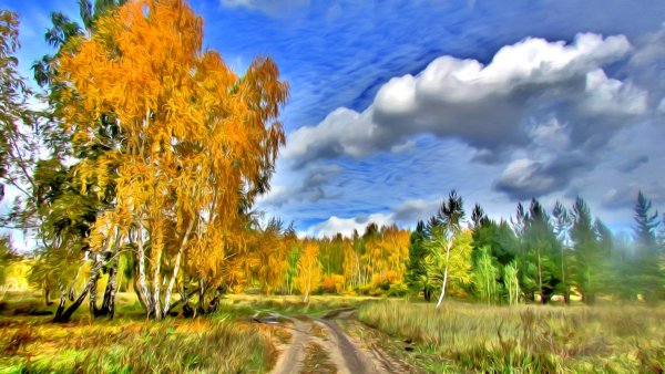 Осенний пейзаж с березами