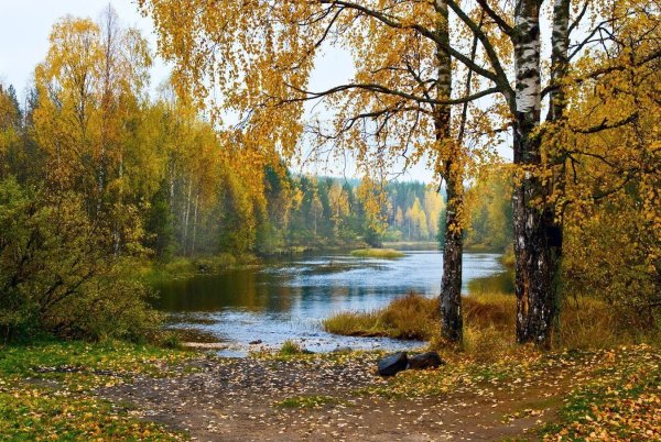 Природа России Есенин