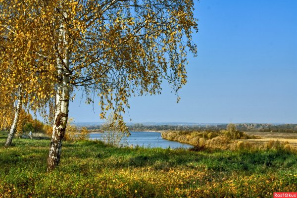 Рязанская область речка и Березки