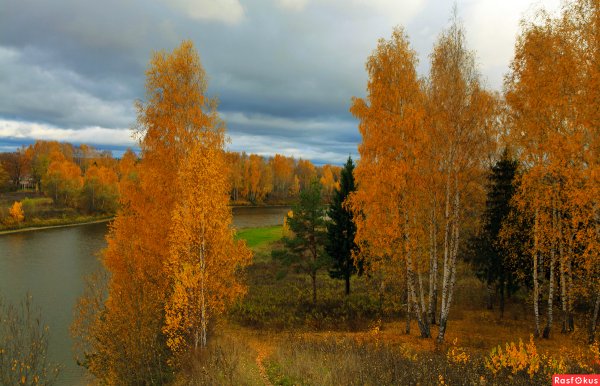 Отговорила осень Золотая Есенин
