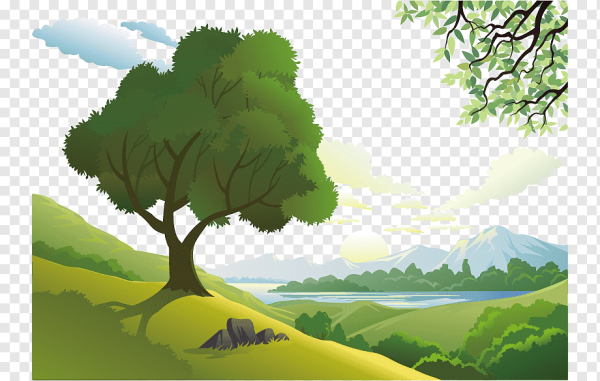 Рисунки природы