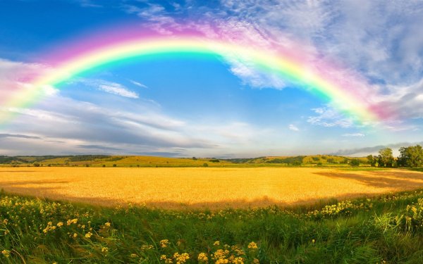 Красивая природа с радугой