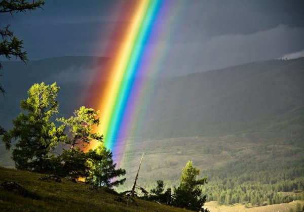 Радуга в природе