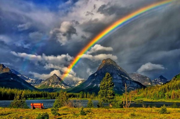 Удивительная природа