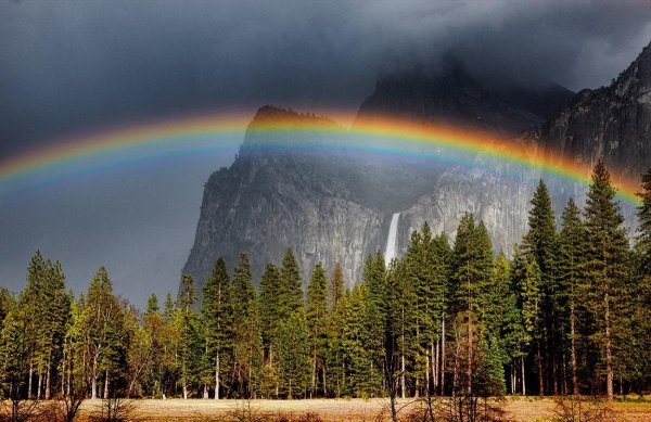 Радуга в лесу