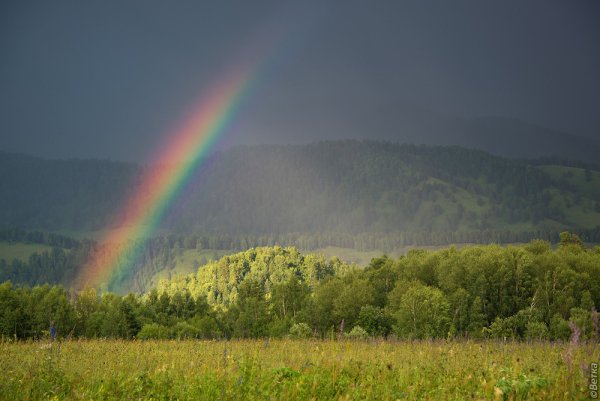 Радуга горного Алтая Пермь