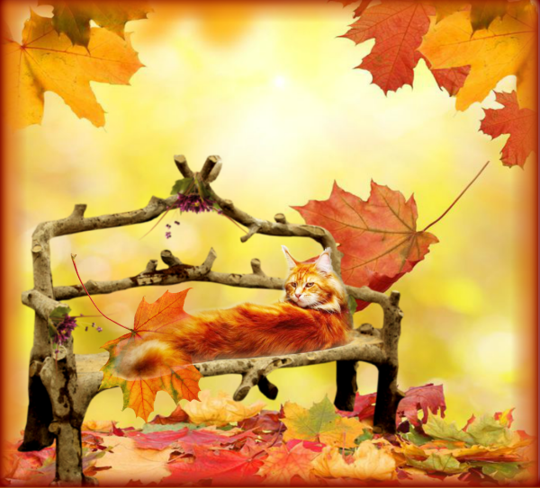 Художник Чарльз Уайт осень