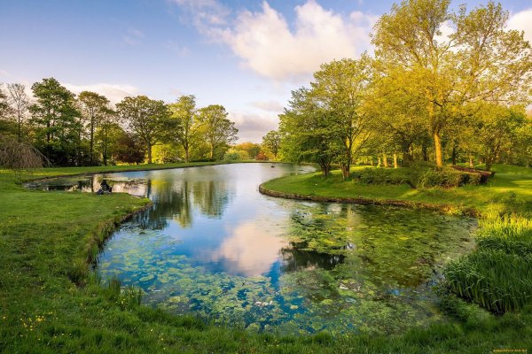 Красивый пруд