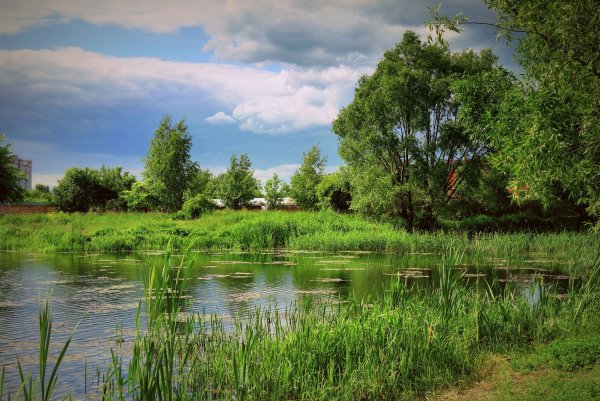 Богдановский пруд