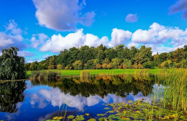 Пейзаж с рекой