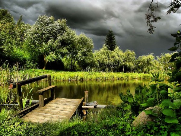 Лето природа