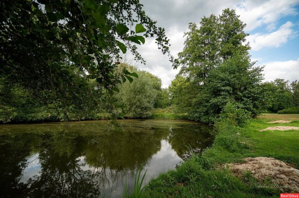 Картинки на заставку рабочего стола природа