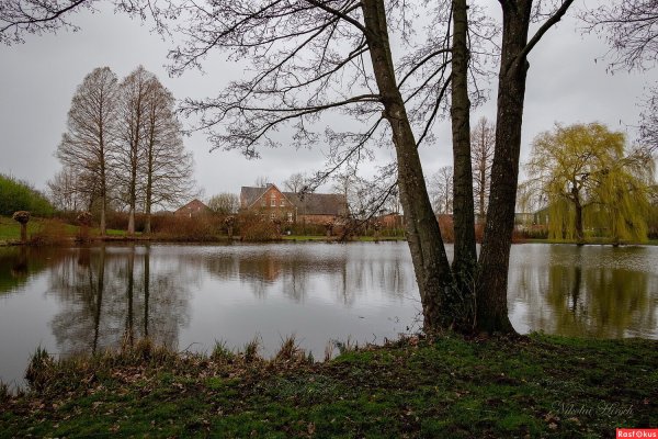 Тихая заводь пруда