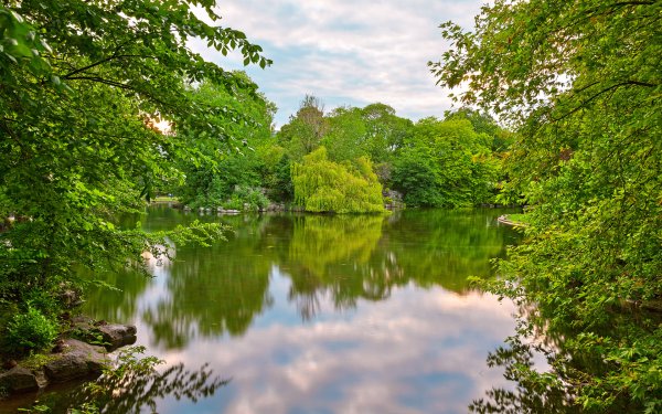 Пейзаж с водоемом
