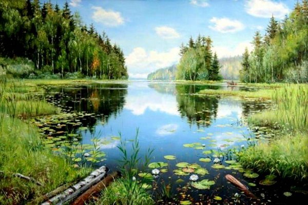 Красивые места пруд