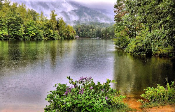 Парк с озером