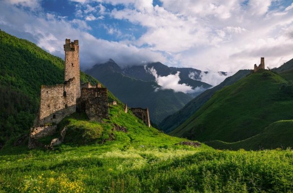 Родина Чеченская Республика