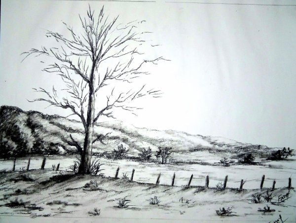 Пейзаж углём лёгкий
