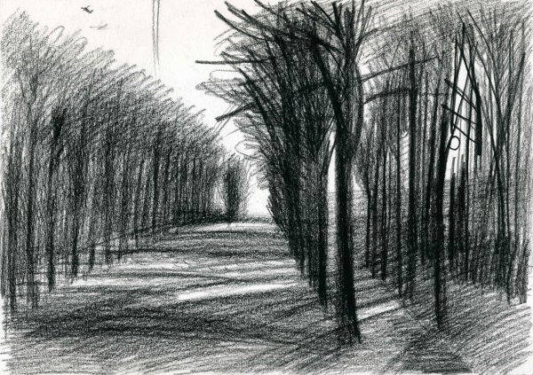 Рисование углем для начинающих