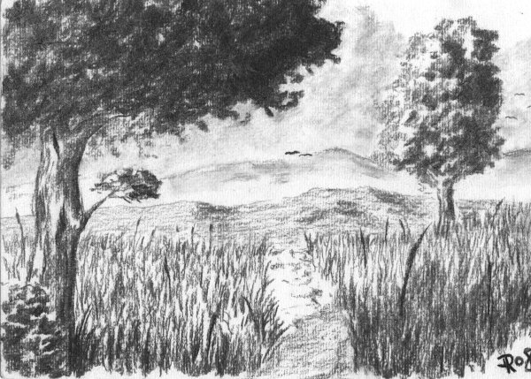 Графический пейзаж углем