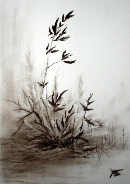 Пейзаж карандашом