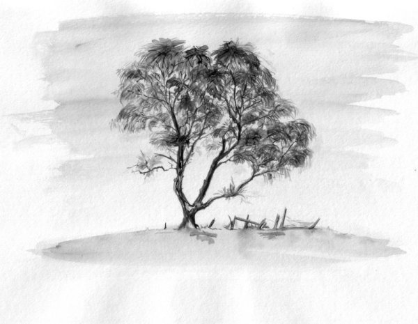 Картины углем