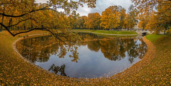 Осенний парк с прудом