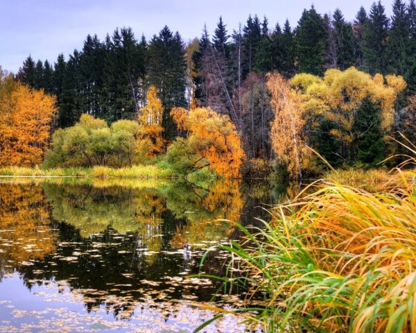 Нерская Золотая осень