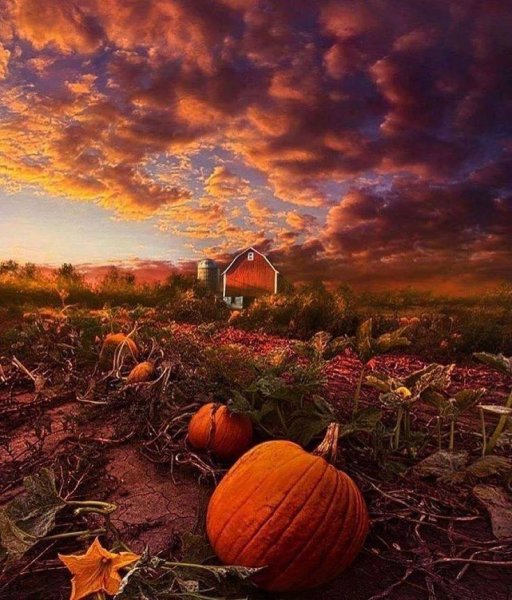 Страшный фон на Хэллоуин