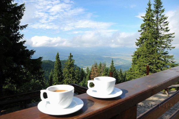 Чашка кофе в горах