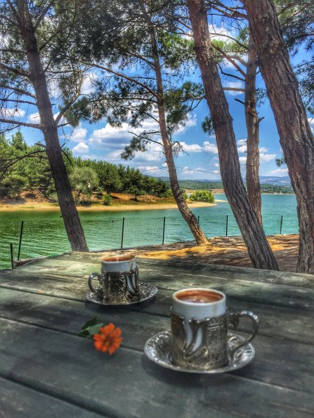 Чашка кофе пейзаж