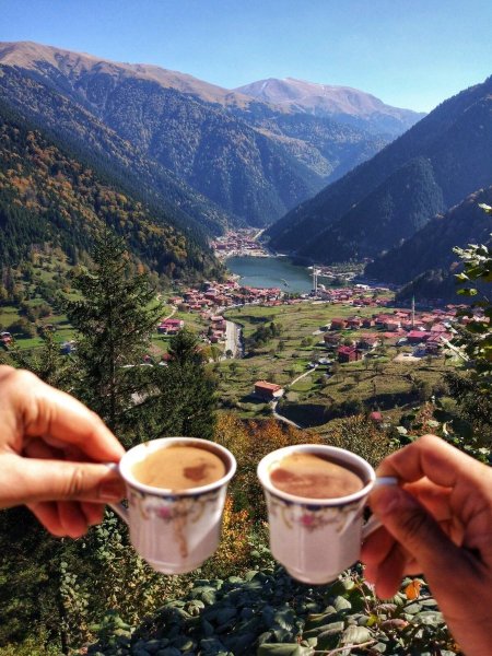 Чай в горах