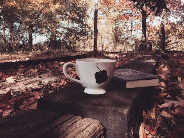 Кружка чая на природе