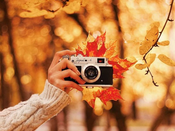 Фотоконкурс Золотая осень