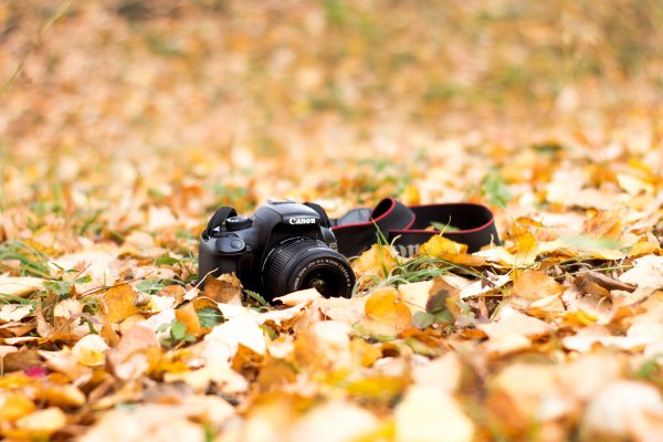 Адыгея осенью фото